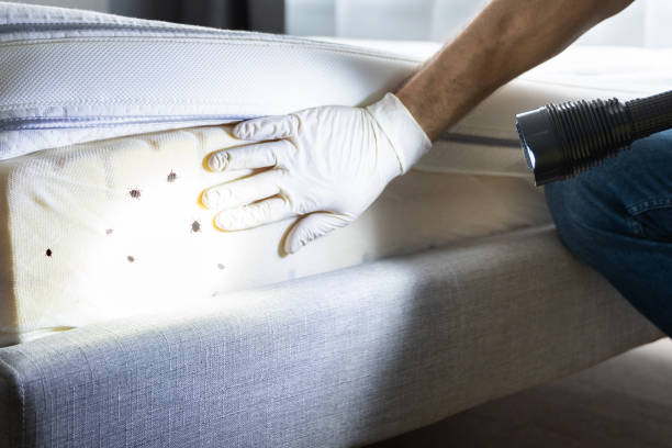 Best Rat Extermination Near Me  in Oakland, SC